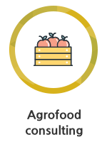 Agrofood consulting